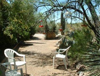 Bed And Bagels Of Tucson Hotel Tanque Verde Exterior photo